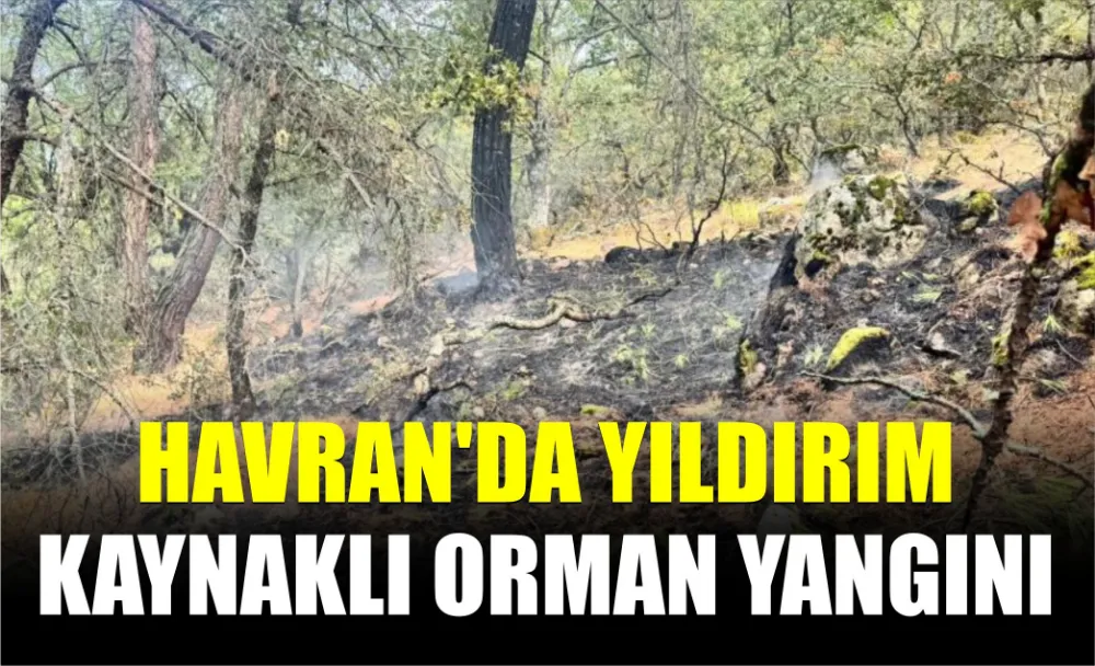 HAVRAN’DA YILDIRIM KAYNAKLI ORMAN YANGINI 