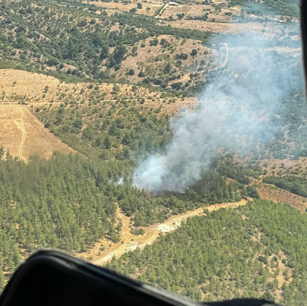 DURSUNBEY’DE ORMAN YANGINI 