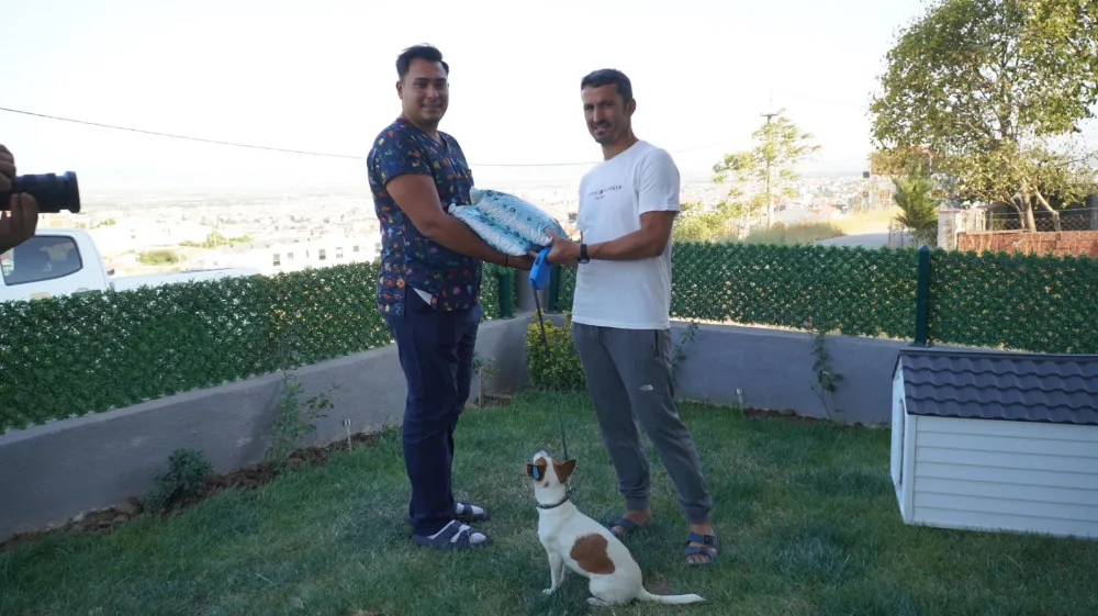 VATANDAŞLAR, BBB’NİN CAN DOSTLARINA YUVA OLUYOR