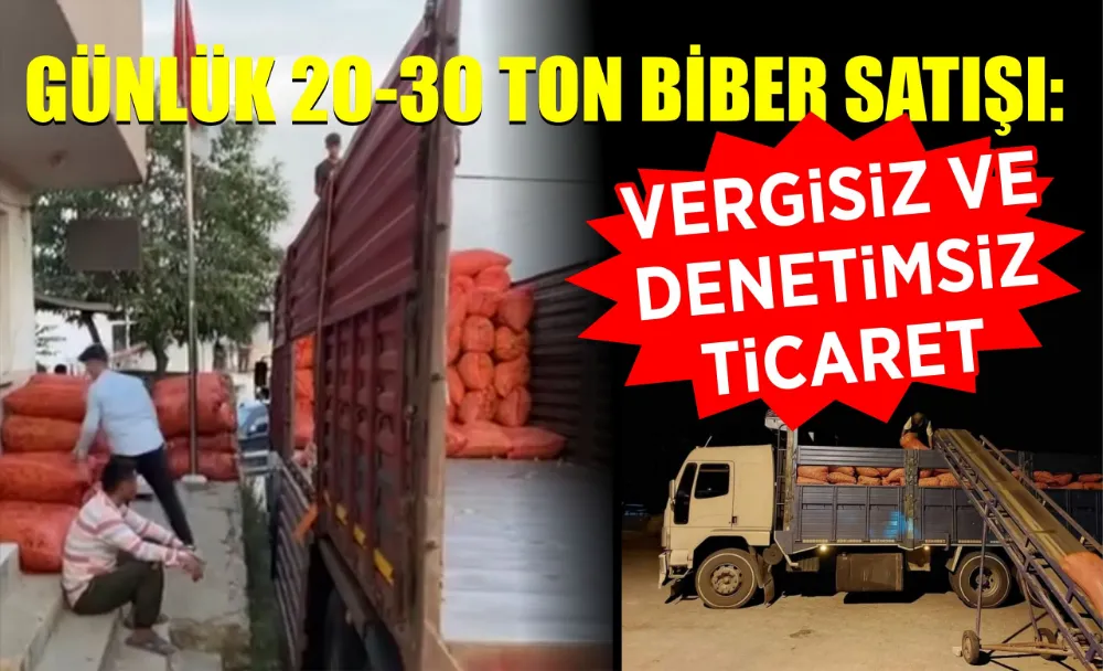 GÜNLÜK 20-30 TON BİBER SATIŞI: VERGİSİZ VE DENETİMSİZ TİCARET