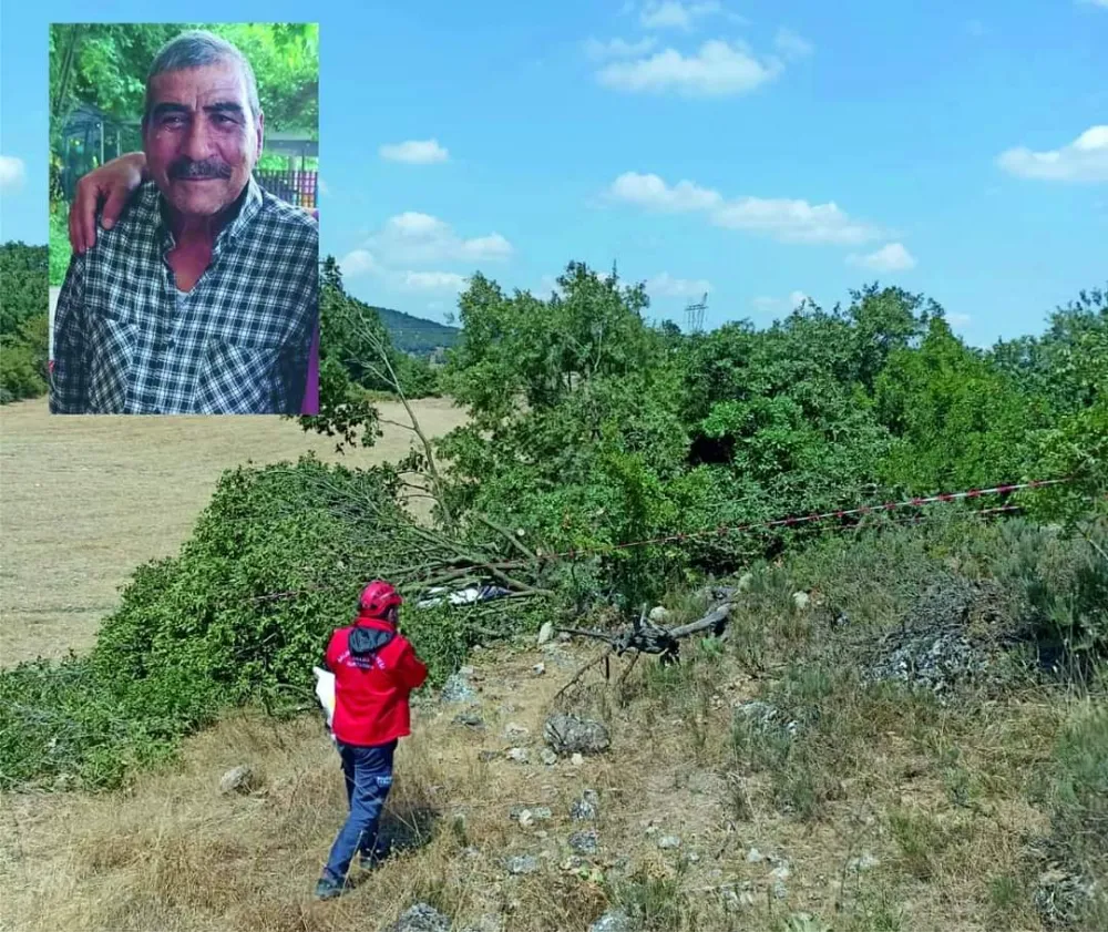 Feci Ölüm! Kestiği Ağaç Üstüne Devrildi