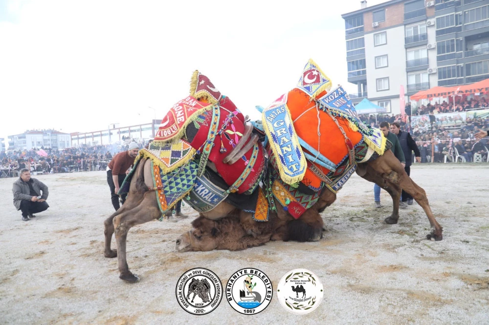 Sezonun En İyi Güreşi Burhaniye’de Yapıldı